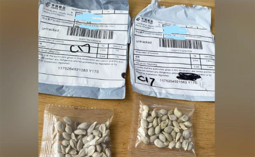 Warning about suspicious packages of seeds appearing to be from ...