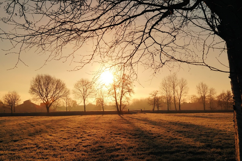 The sun doesn't come back all at once.