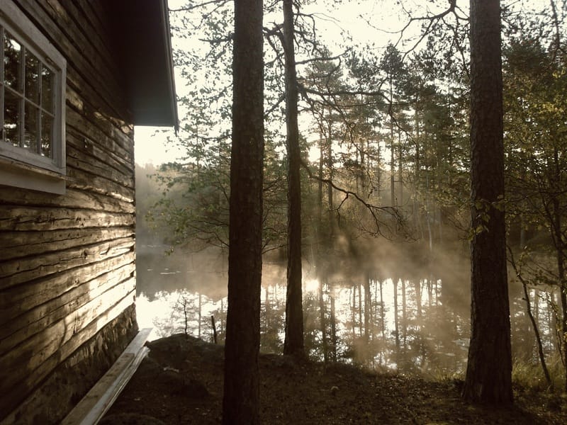 A Walk in the Woods