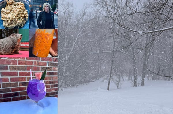 Diary of a Snow Shoveler