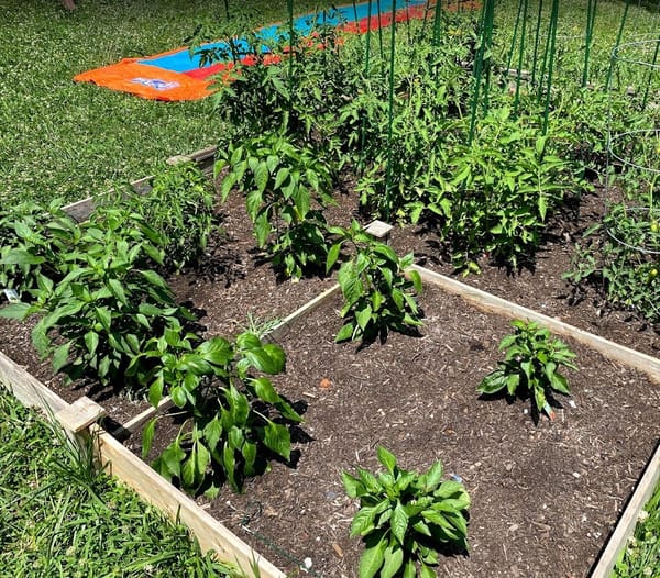 The Most Manic Things I Did When COVID Hit