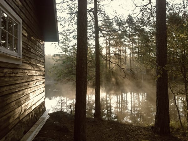 A Walk in the Woods