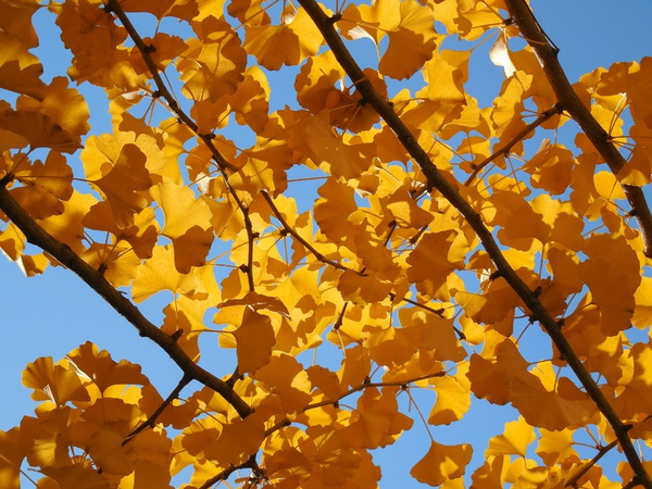 The Trouble With Optimism and Why We Still Need It
